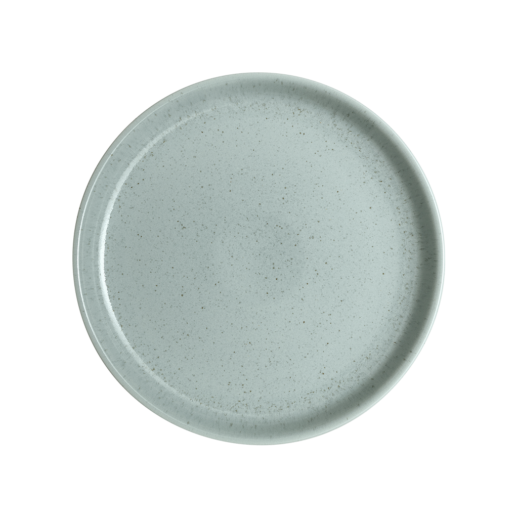 Teal Speckle Coupe Dinner Plate