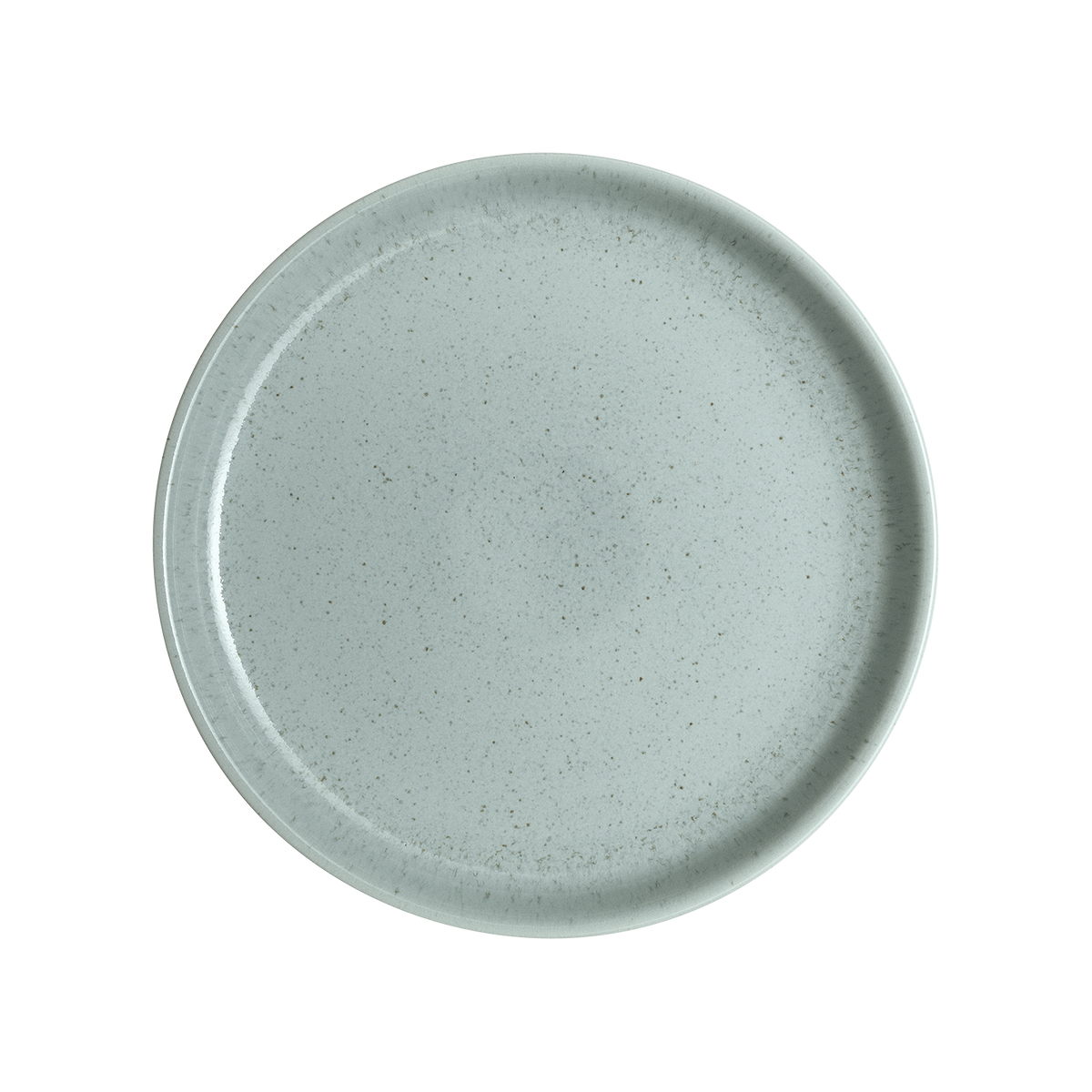 Teal Speckle Coupe Dinner Plate