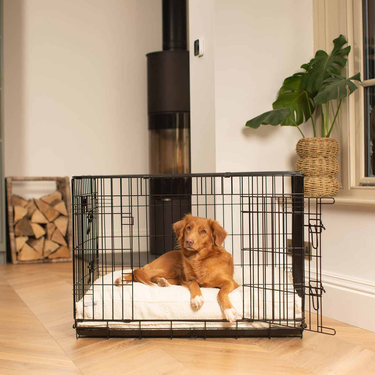 Dog Cushion in Ivory Boucl