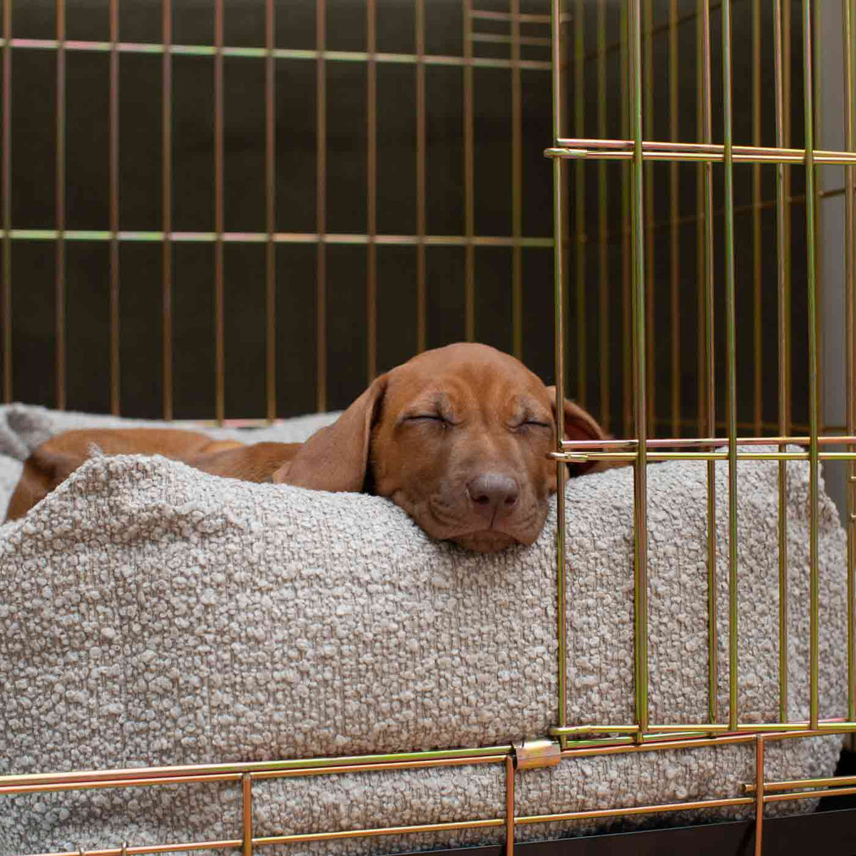 Cozy & Calming Puppy Cage Bed In Mink Boucl
