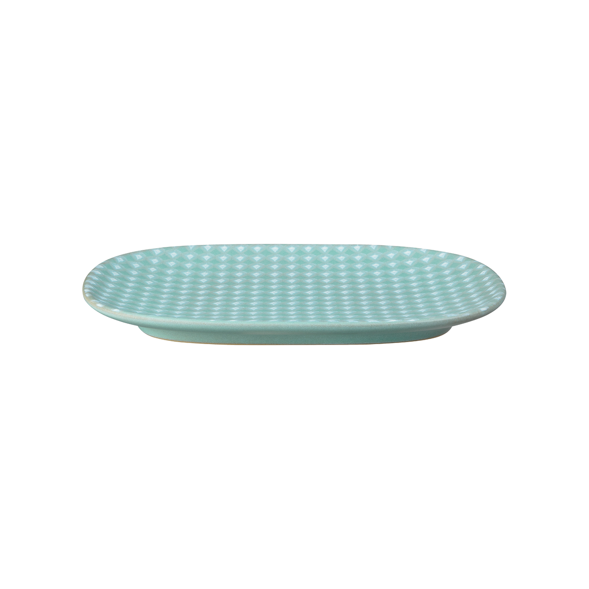 Impression Mint Accent Medium Oblong Platter