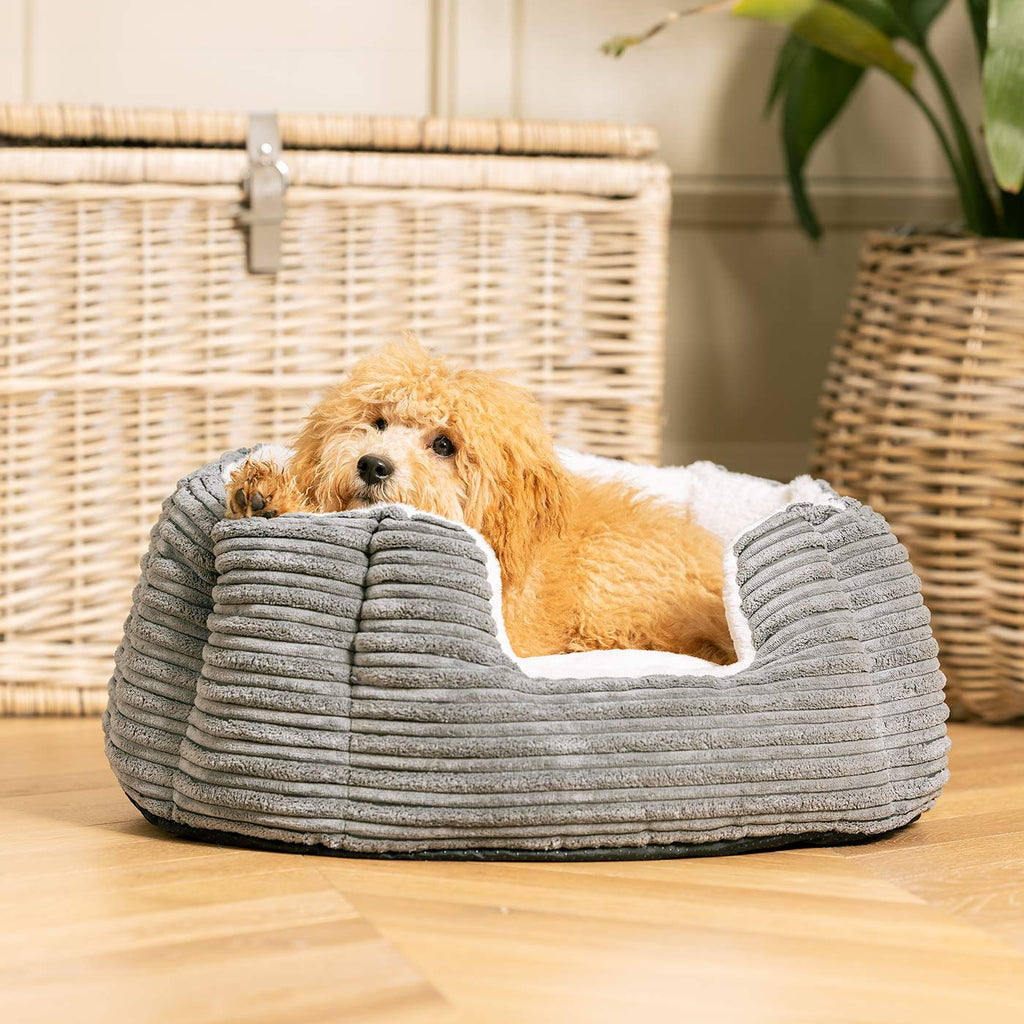 High Wall Bed For Dogs in Essentials Plush