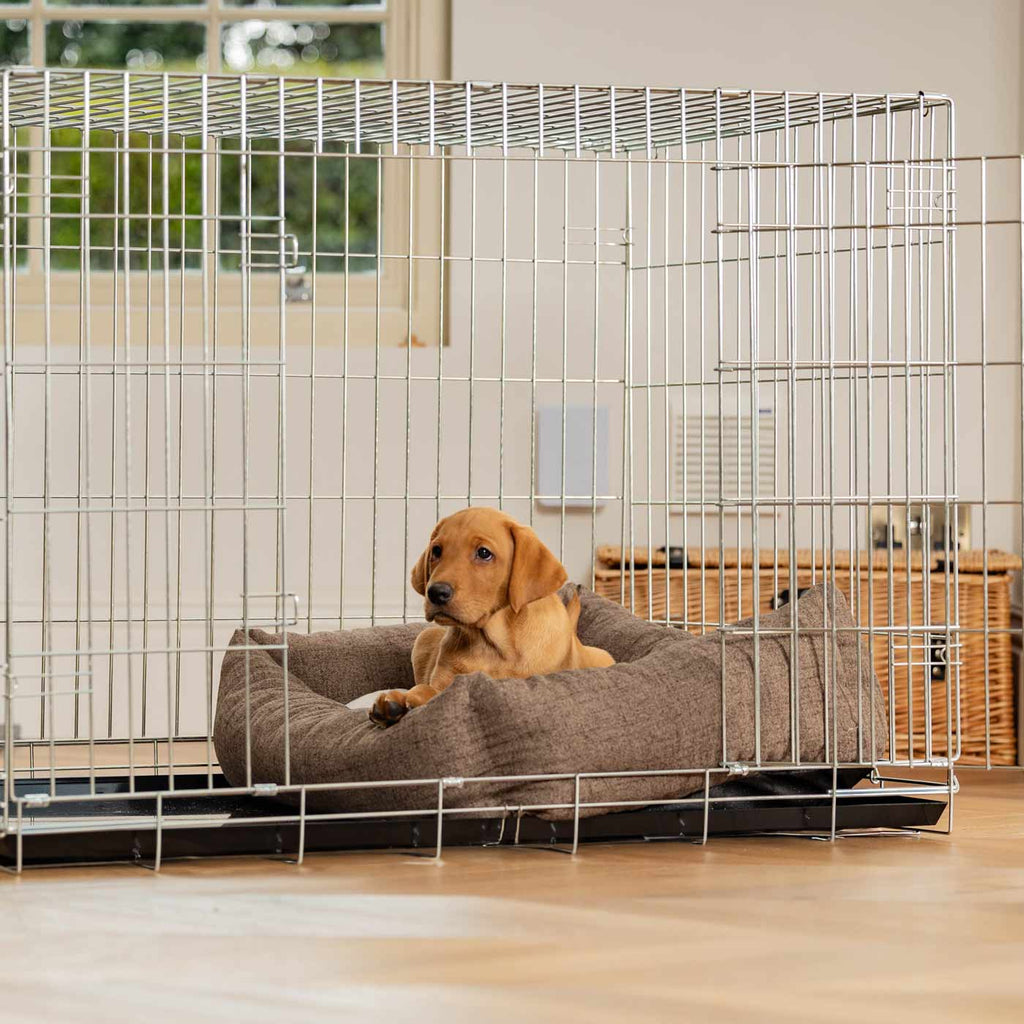 Cozy & Calming Puppy Cage Bed In Inchmurrin Umber