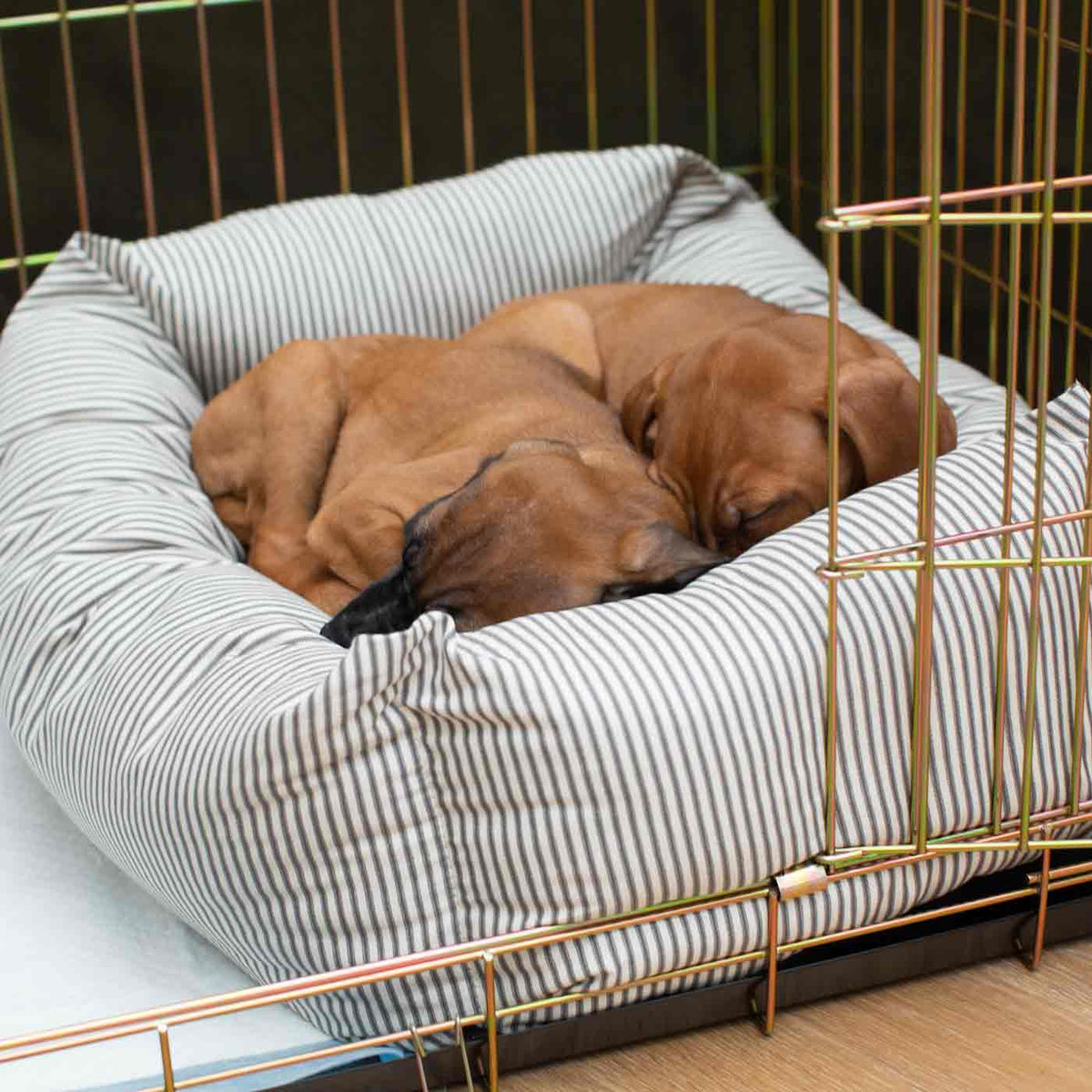 Cozy & Calming Puppy Cage Bed in Spots & Stripes