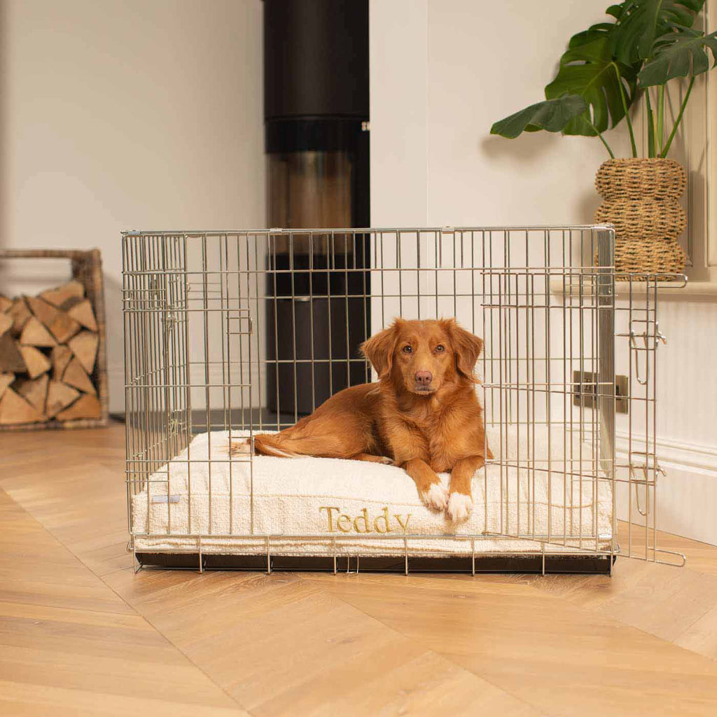 Dog Cushion in Ivory Boucl