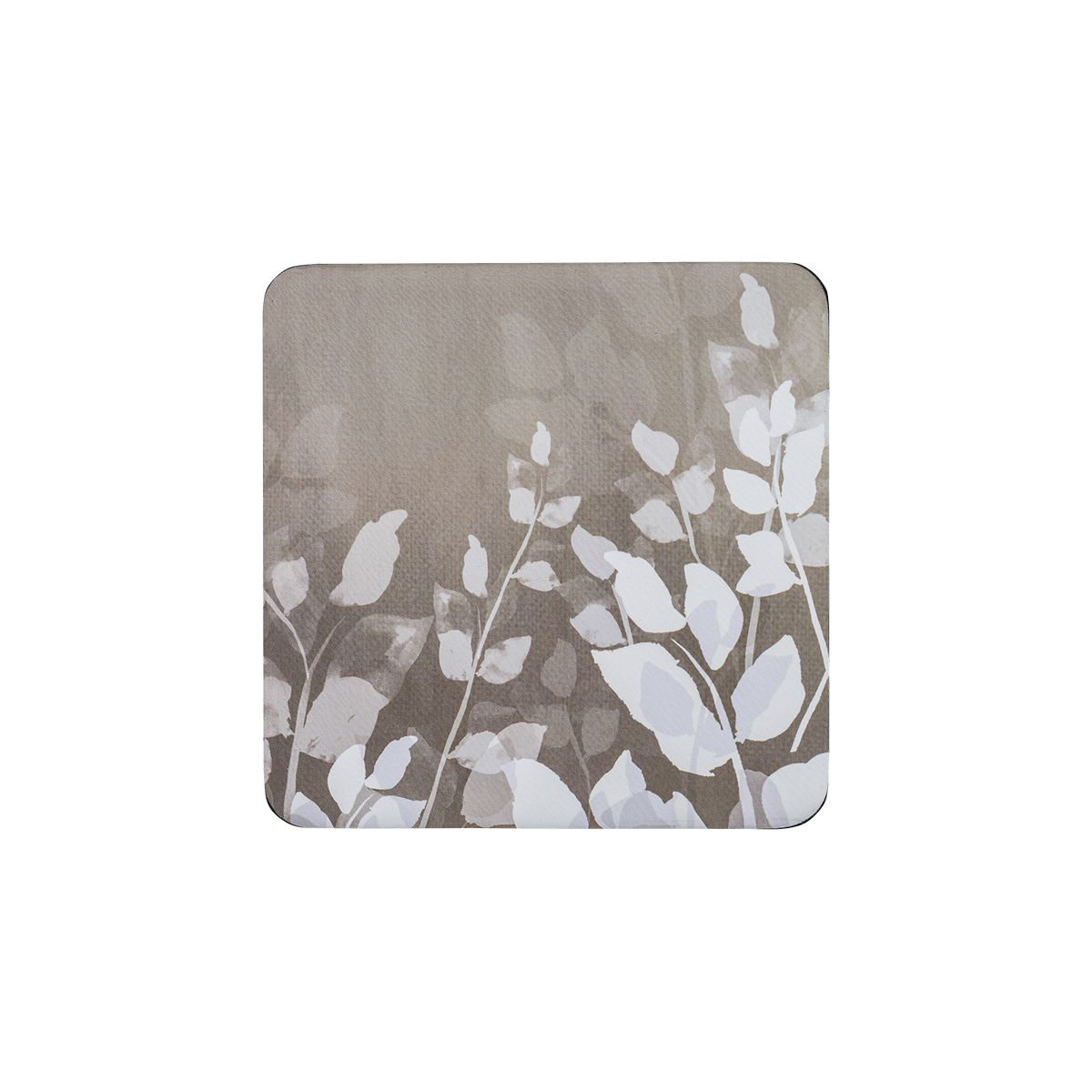 Colours Natural Foliage Coasters - Set Of 6