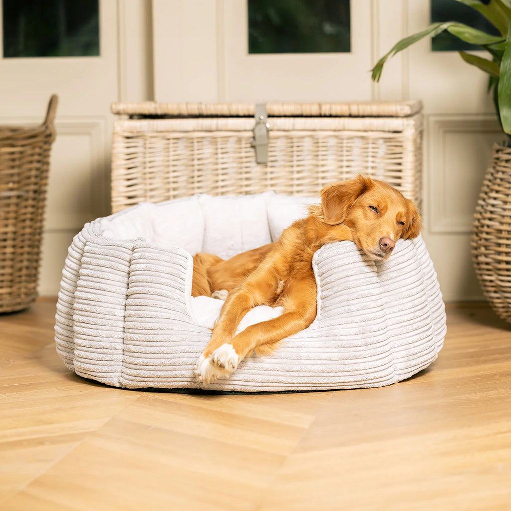 High Wall Bed For Dogs in Essentials Plush