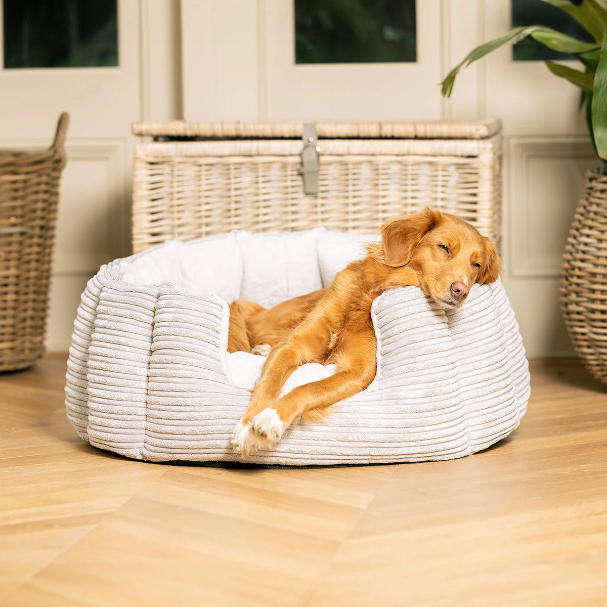 High Wall Bed For Dogs in Essentials Plush