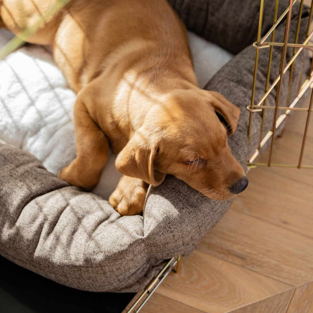 Cozy & Calming Puppy Cage Bed In Inchmurrin Umber