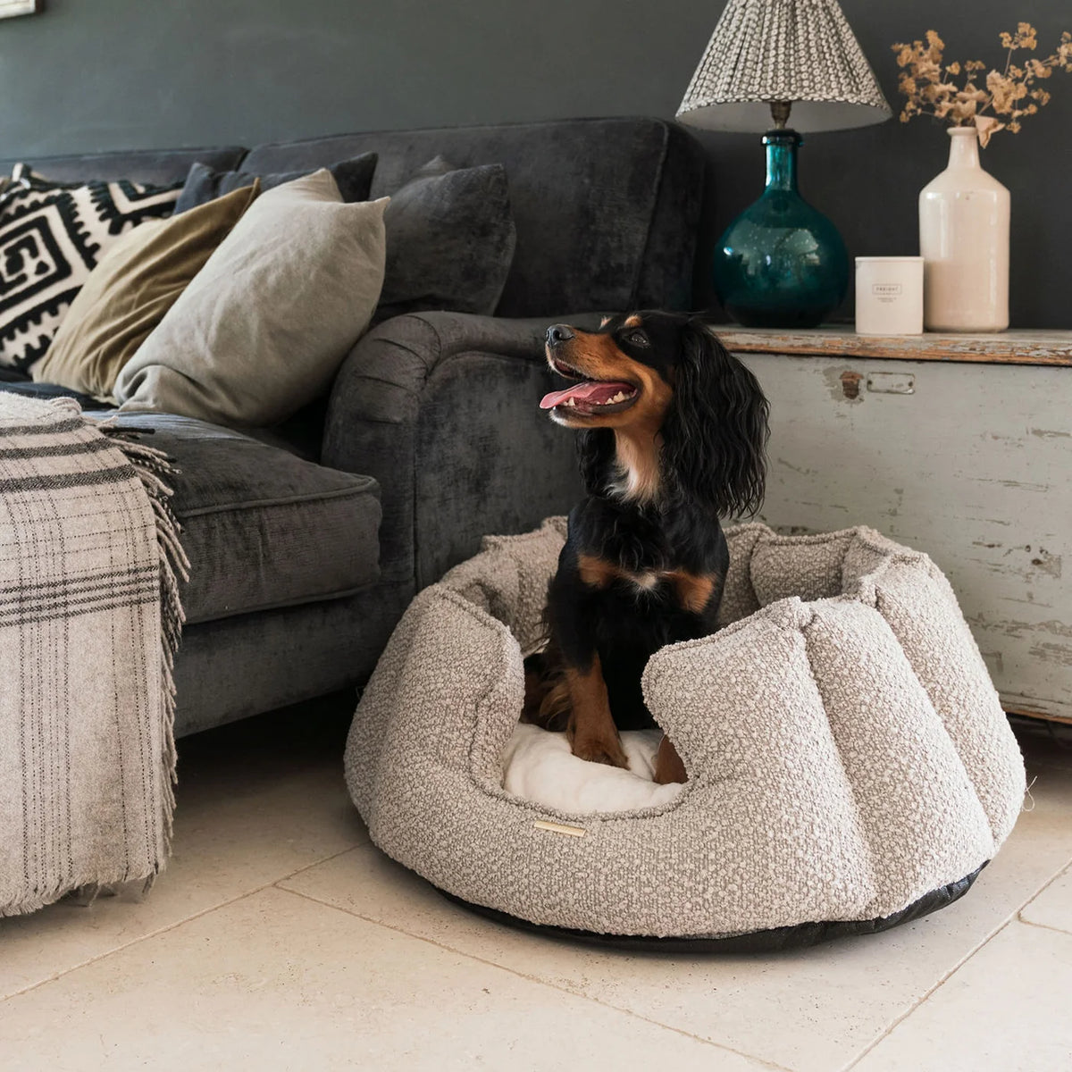 High Wall Bed For Dogs in Boucl