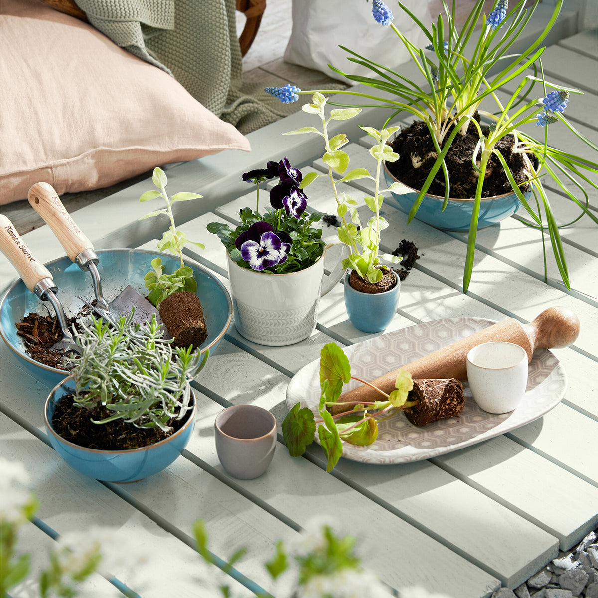 Azure Alt Coupe Cereals - Set Of 4