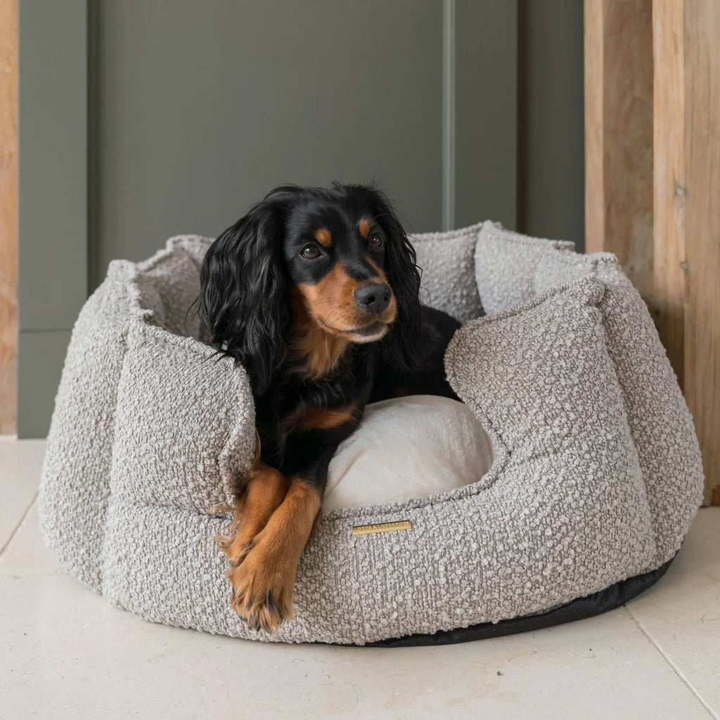 High Wall Bed For Dogs in Boucl