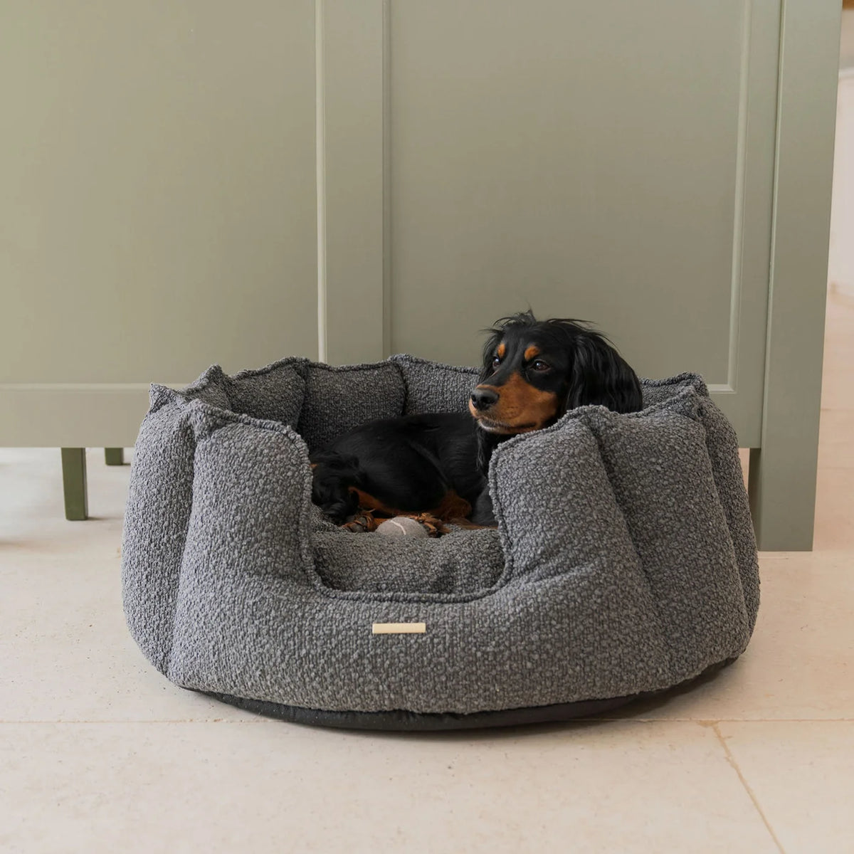 High Wall Bed For Dogs in Boucl