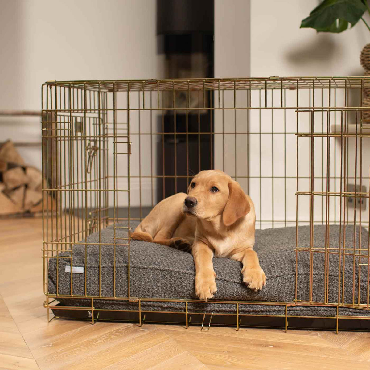 Dog Cushion in Granite Boucl