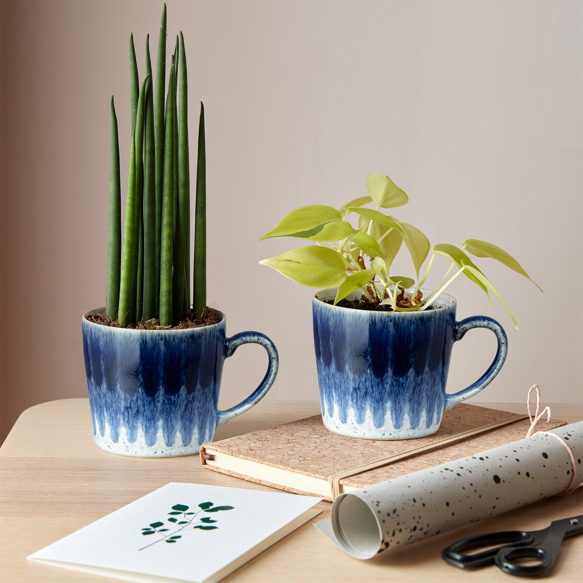 Studio Blue Accent Mugs - Set Of 2