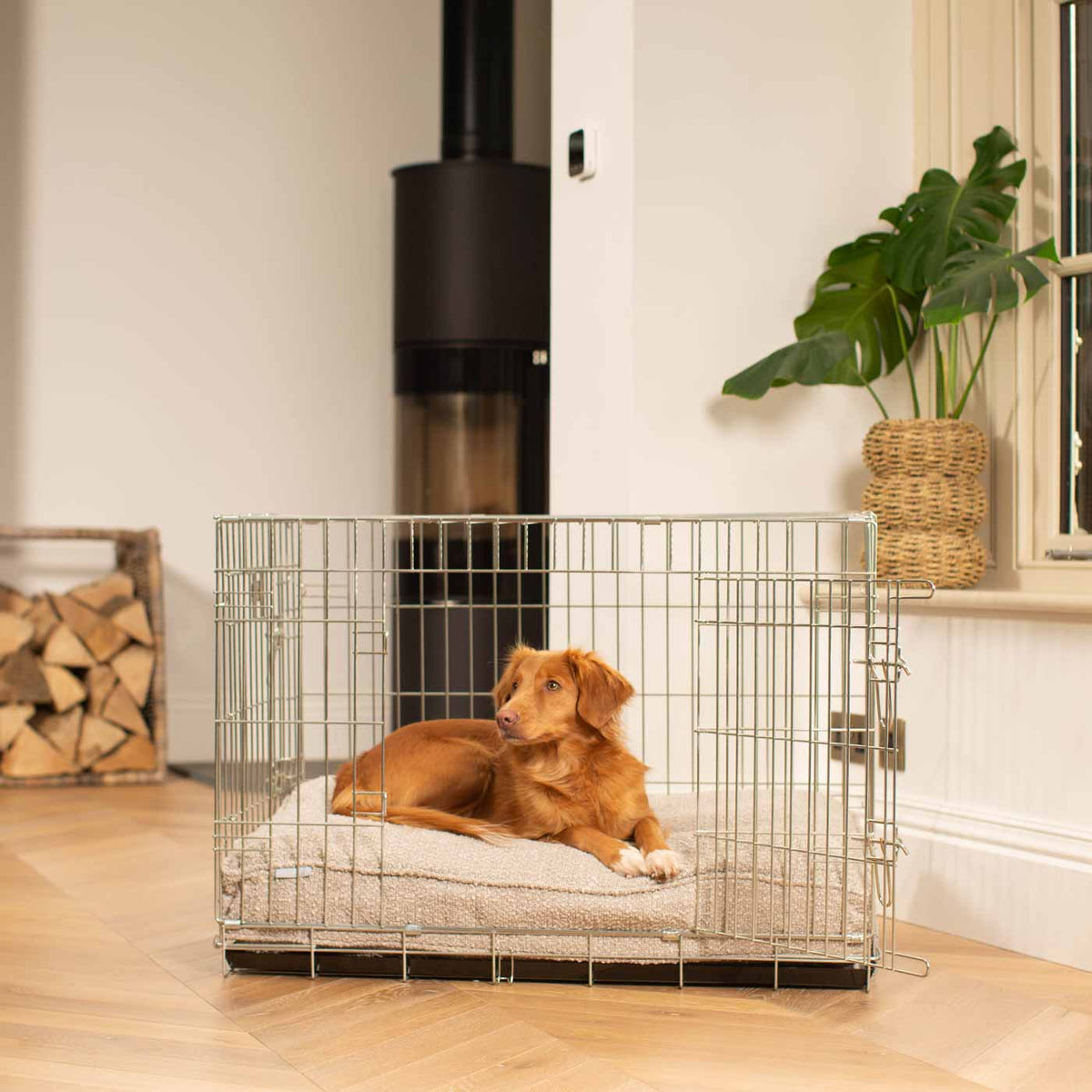 Dog Cushion in Mink Boucl