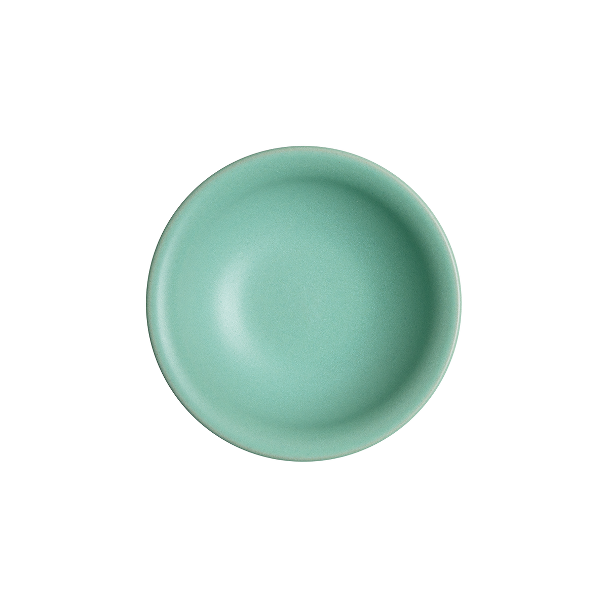 Impression Mint Small Shallow Bowl