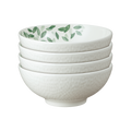 Greenhouse Cereal Bowl - Set Of 4
