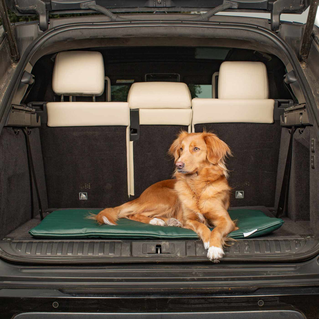 Travel Mat in Forest Rhino Faux Leather