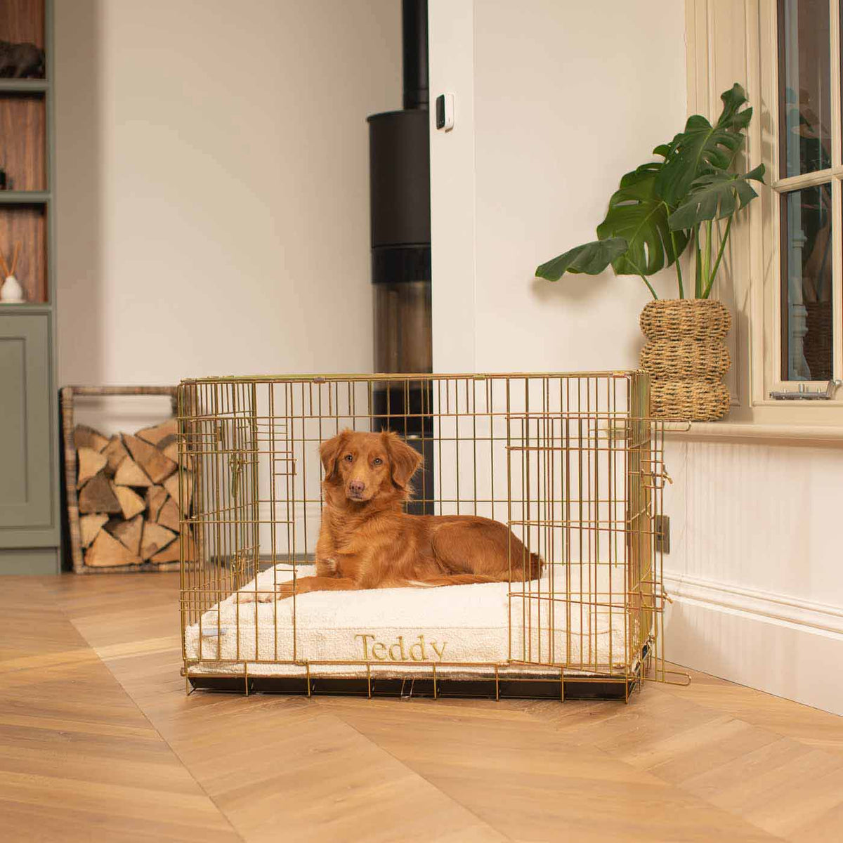 Dog Cushion in Ivory Boucl