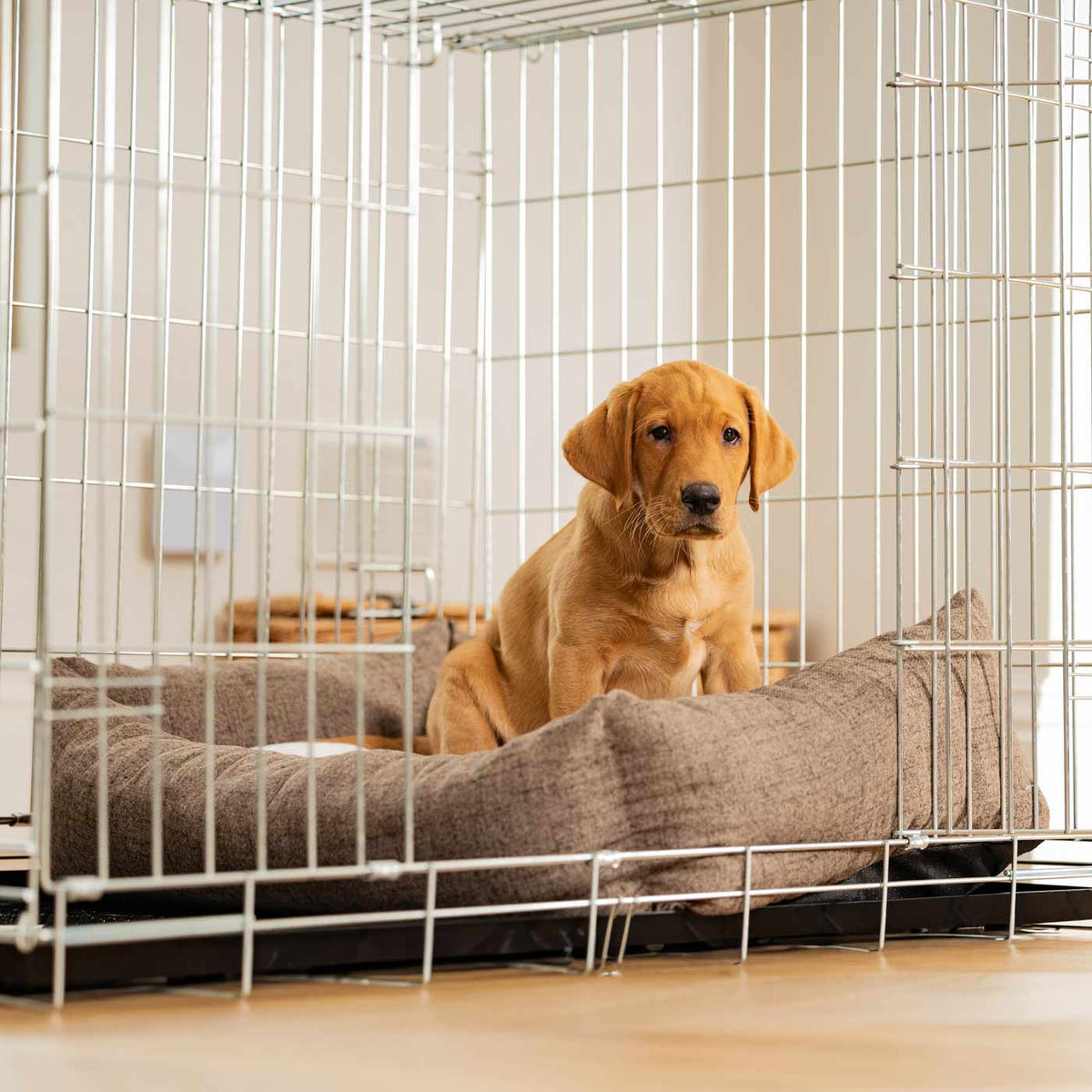 Cozy & Calming Puppy Cage Bed In Inchmurrin Umber