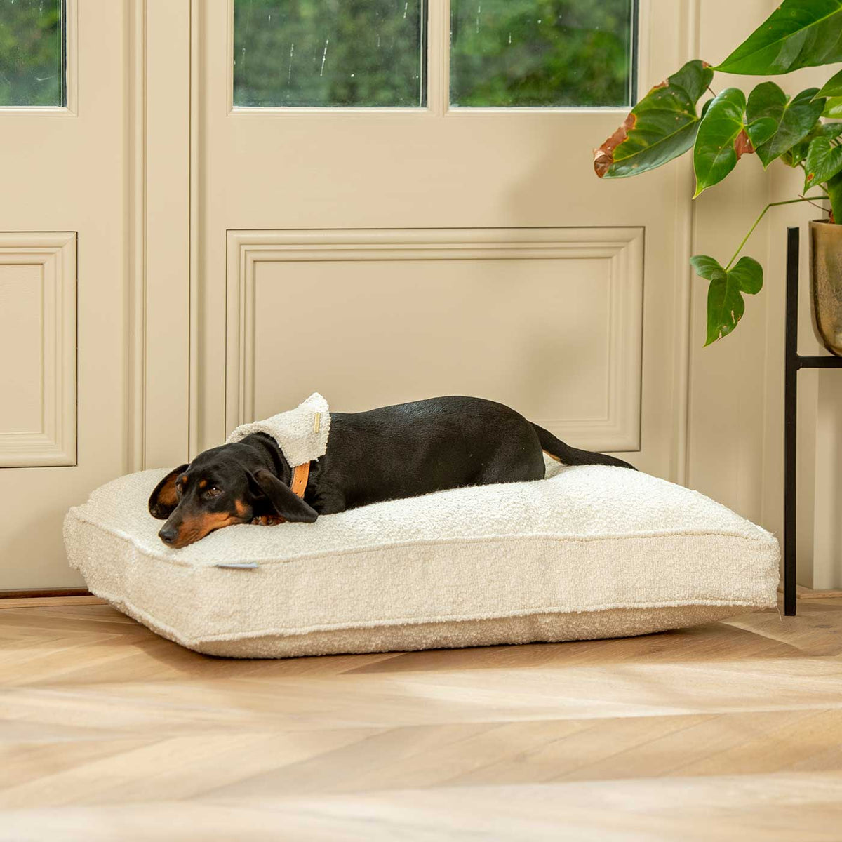 Dog Cushion in Ivory Boucl
