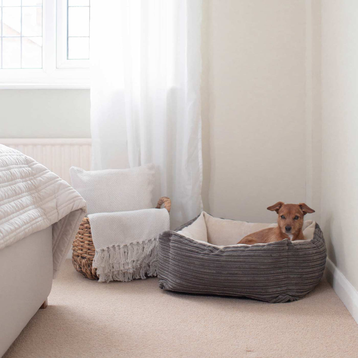 Box Bed For Dogs in Essentials Plush