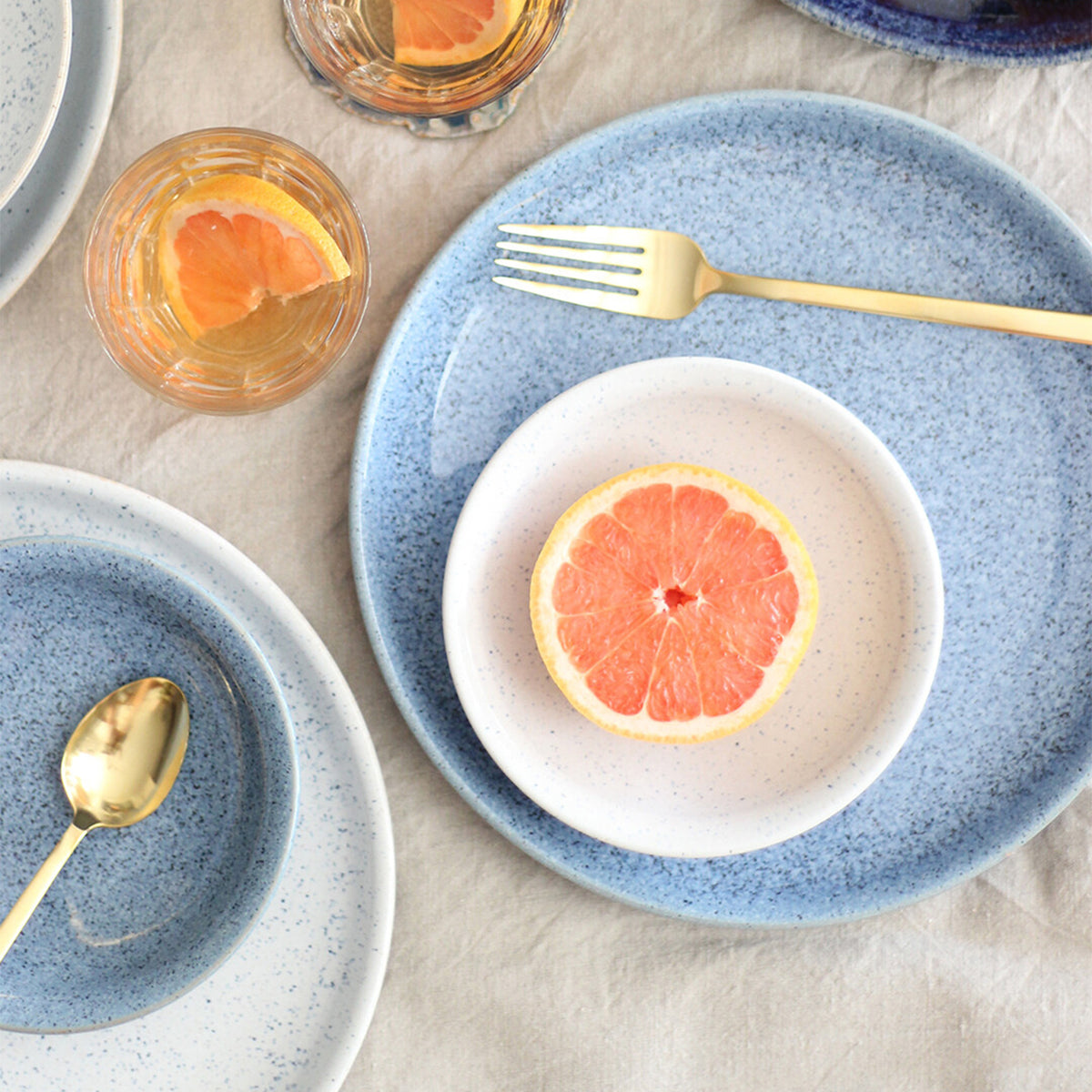 Studio Blue 4 Piece Coupe Dinner Plate Set