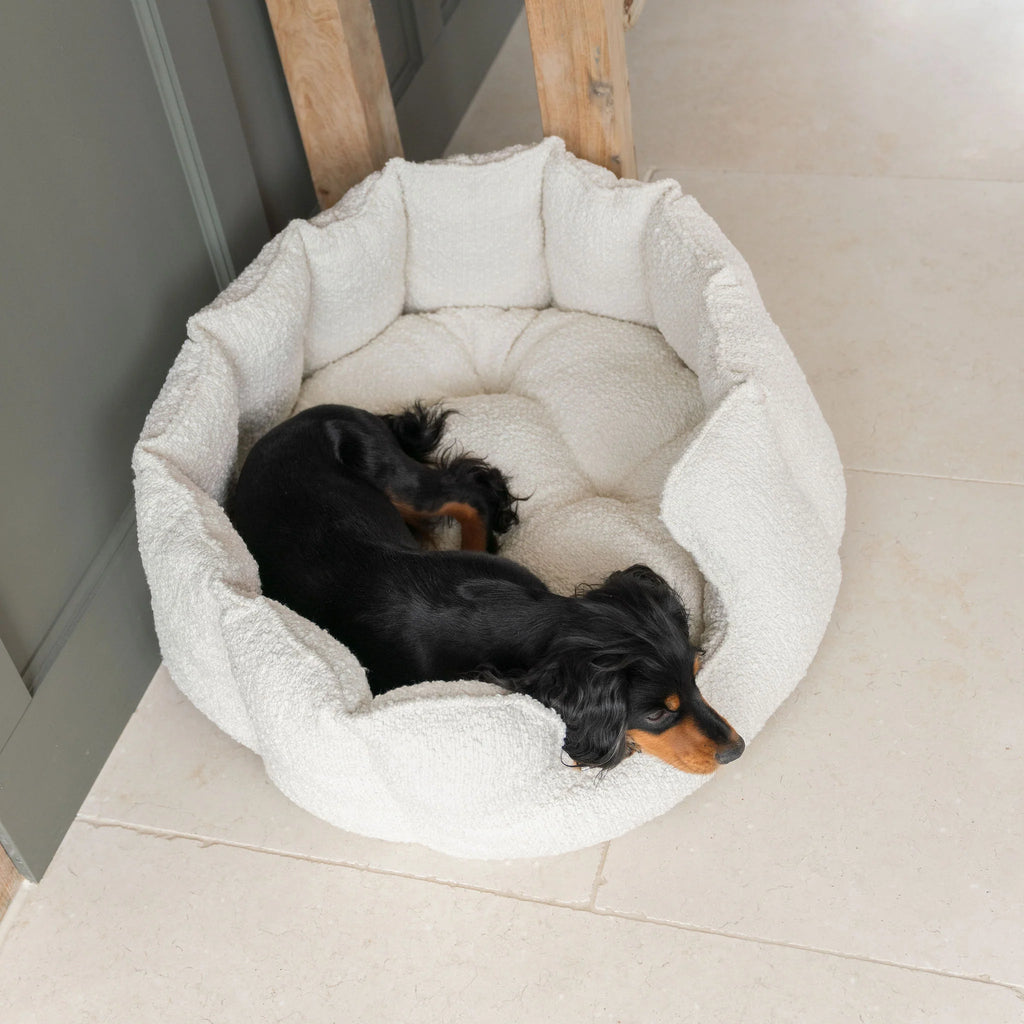 High Wall Bed For Dogs in Boucl
