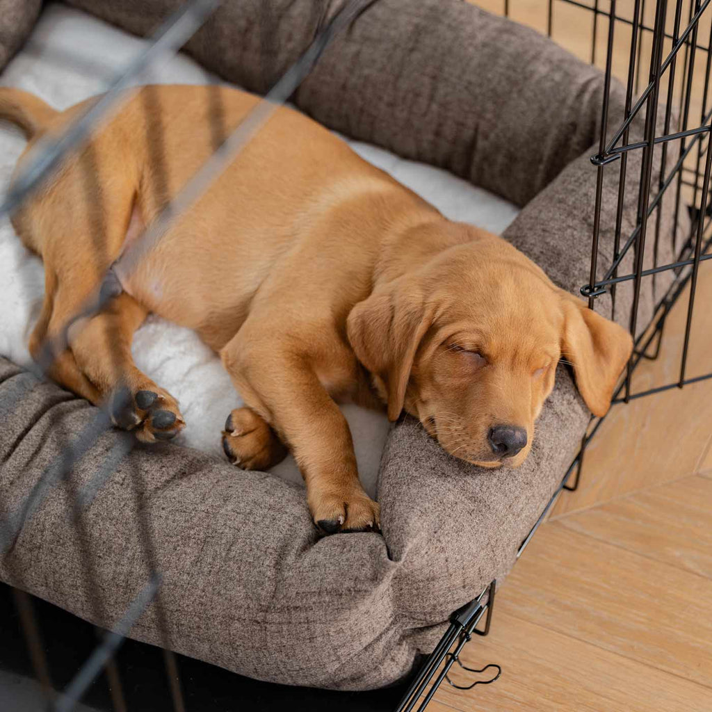 Cozy & Calming Puppy Cage Bed In Inchmurrin Umber Variant 2
