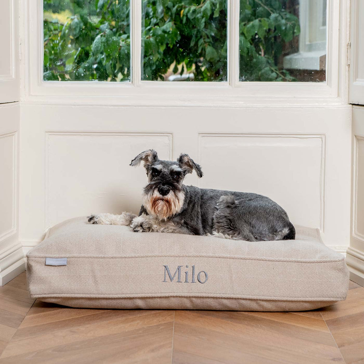Dog Cushion in Natural Herringbone Tweed