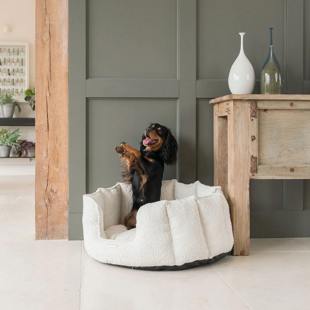 High Wall Bed For Dogs in Boucl