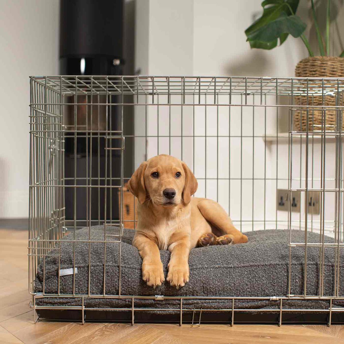 Dog Cushion in Granite Boucl