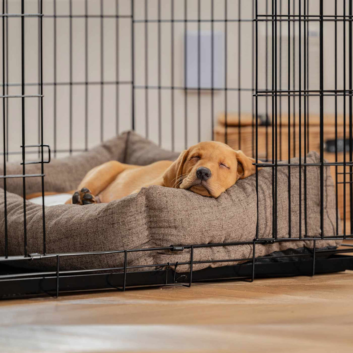 Cozy & Calming Puppy Cage Bed In Inchmurrin Umber Variant 2
