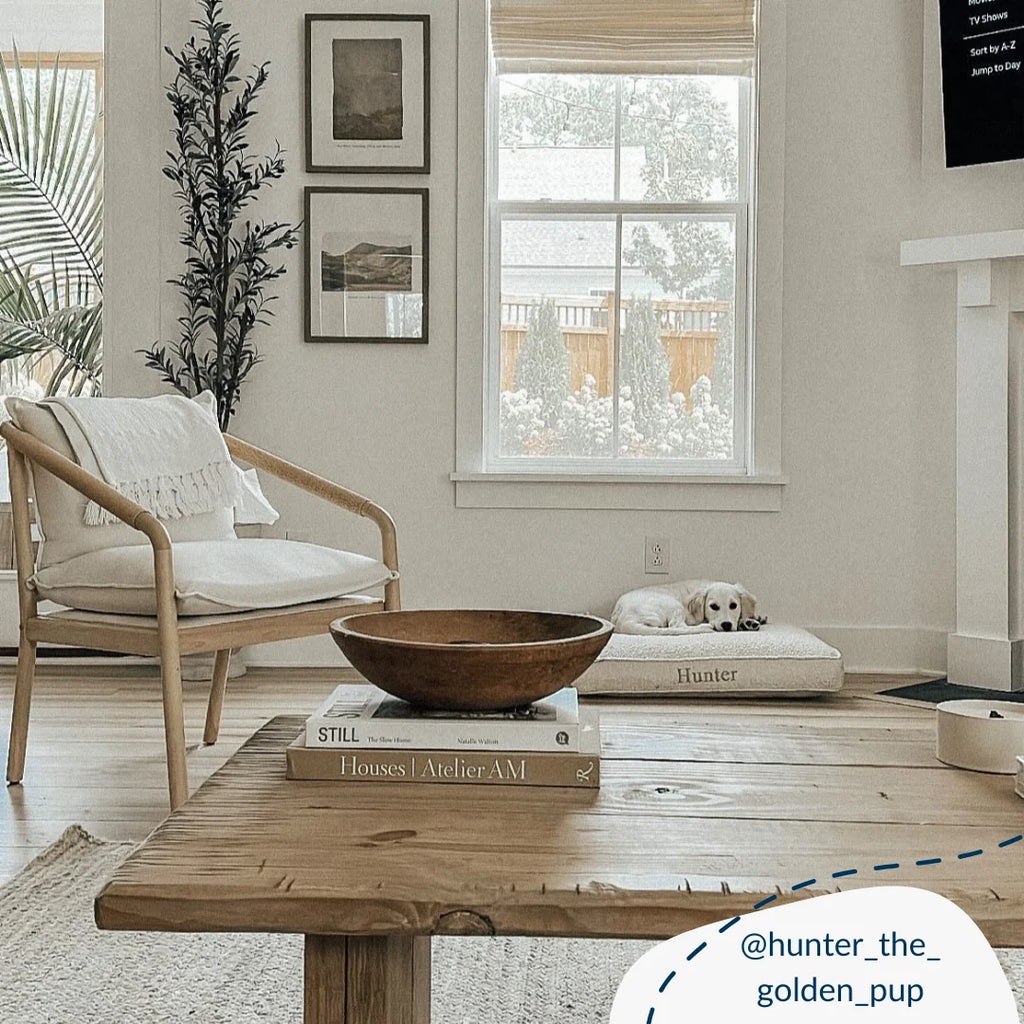 Dog Cushion in Ivory Boucl