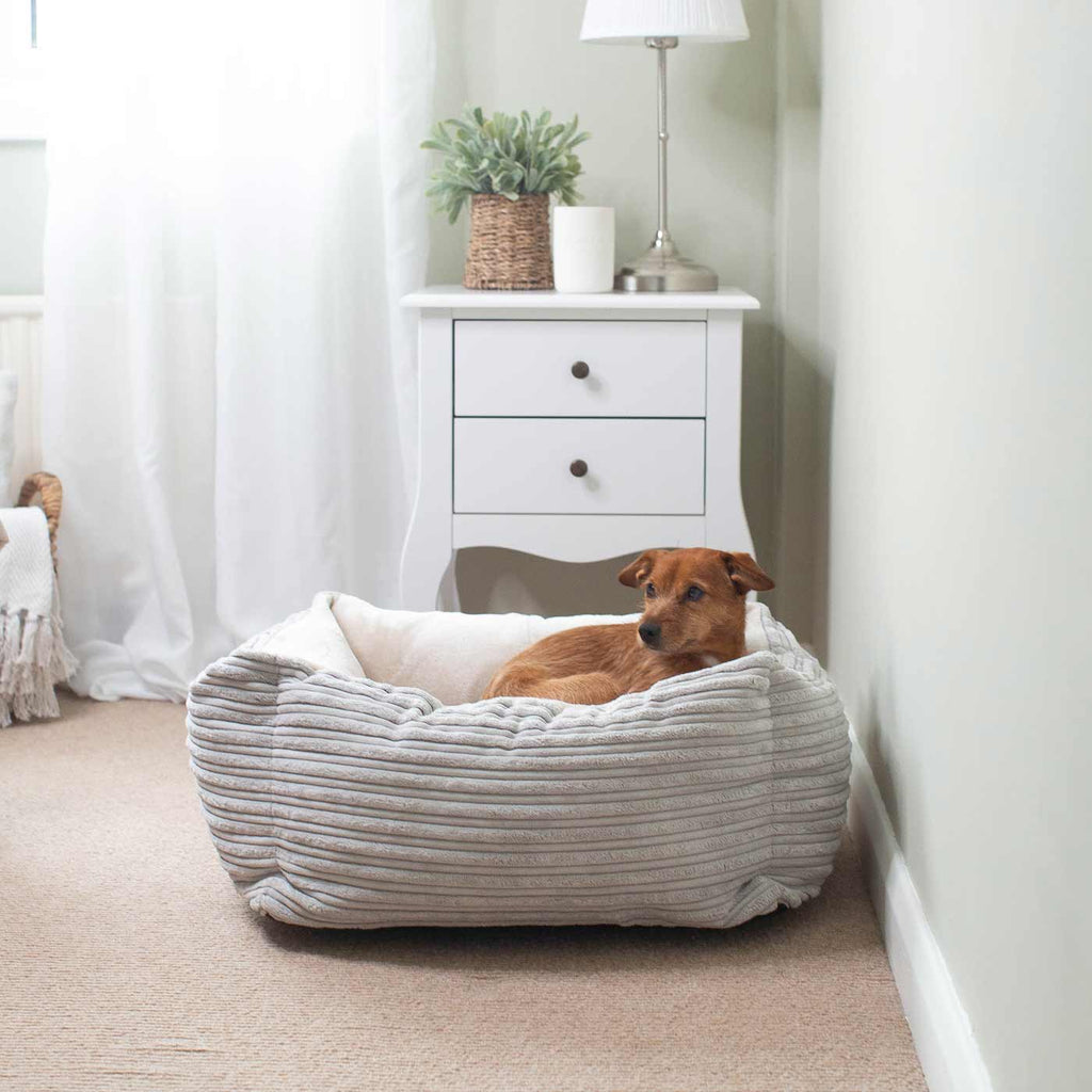 Box Bed For Dogs in Essentials Plush