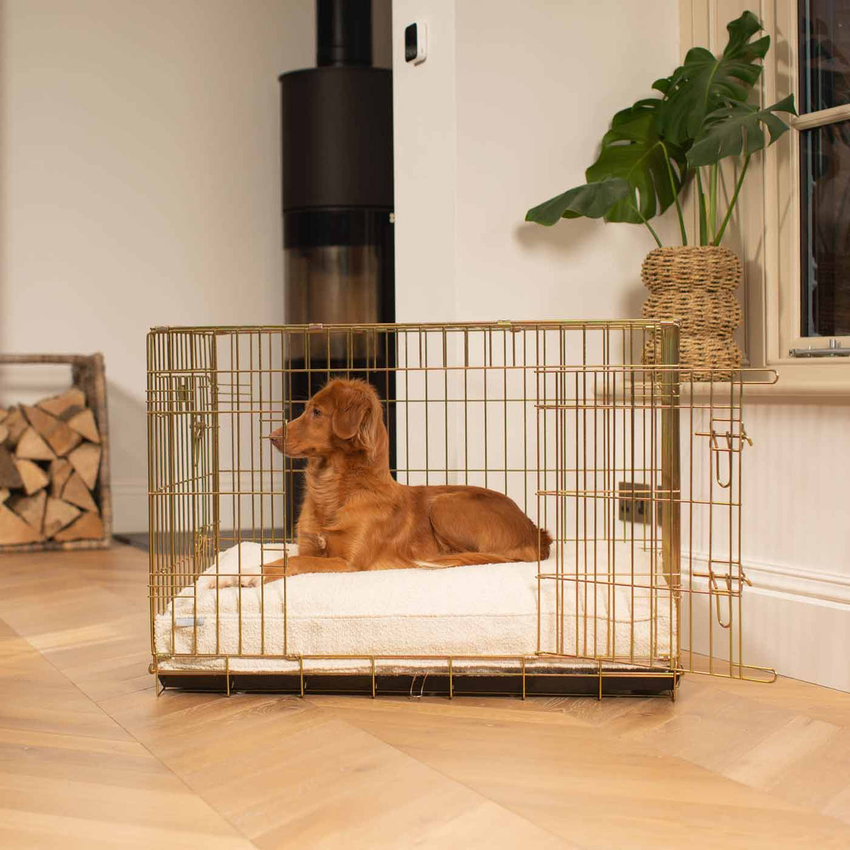 Dog Cushion in Ivory Boucl