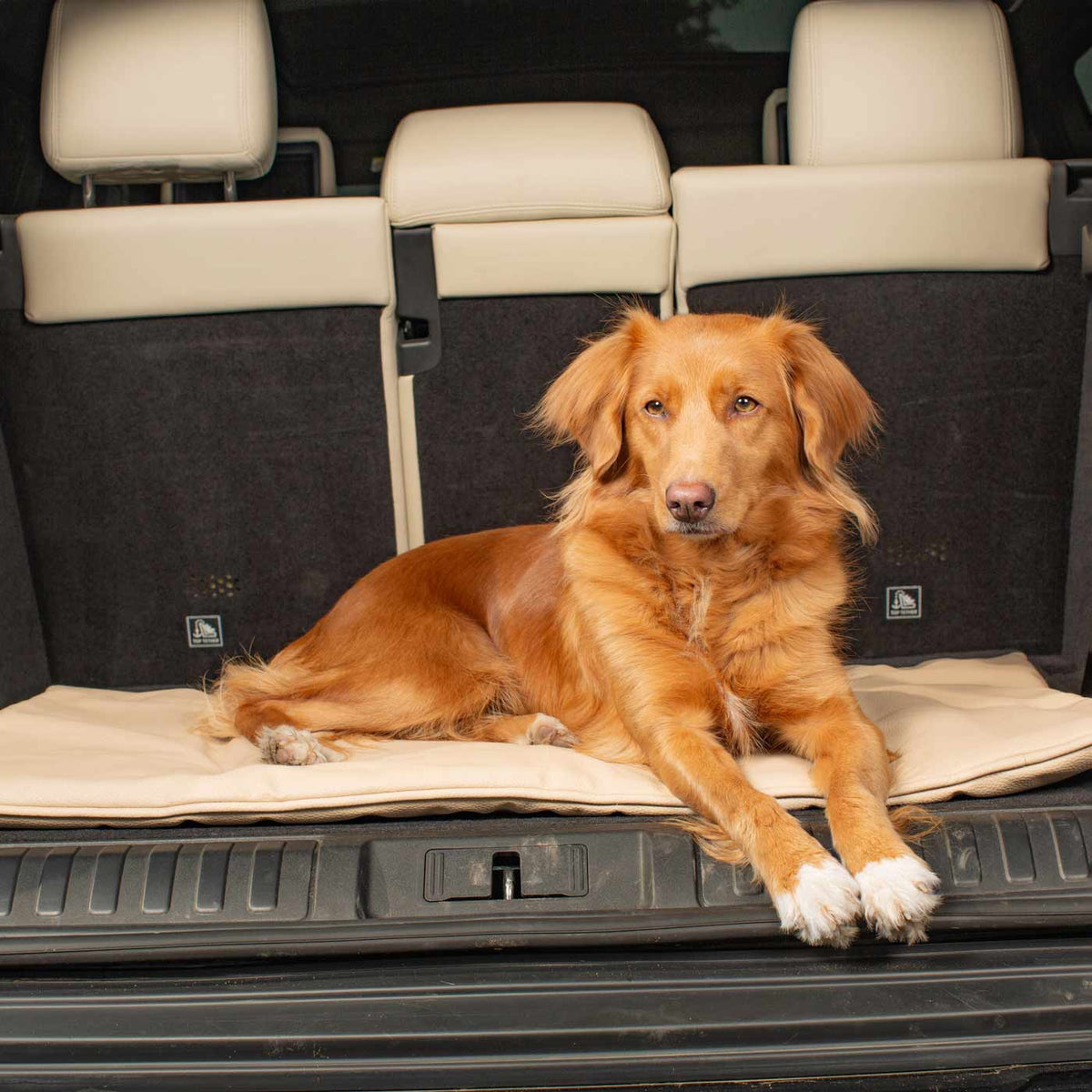 Travel Mat in Sand Rhino Faux Leather