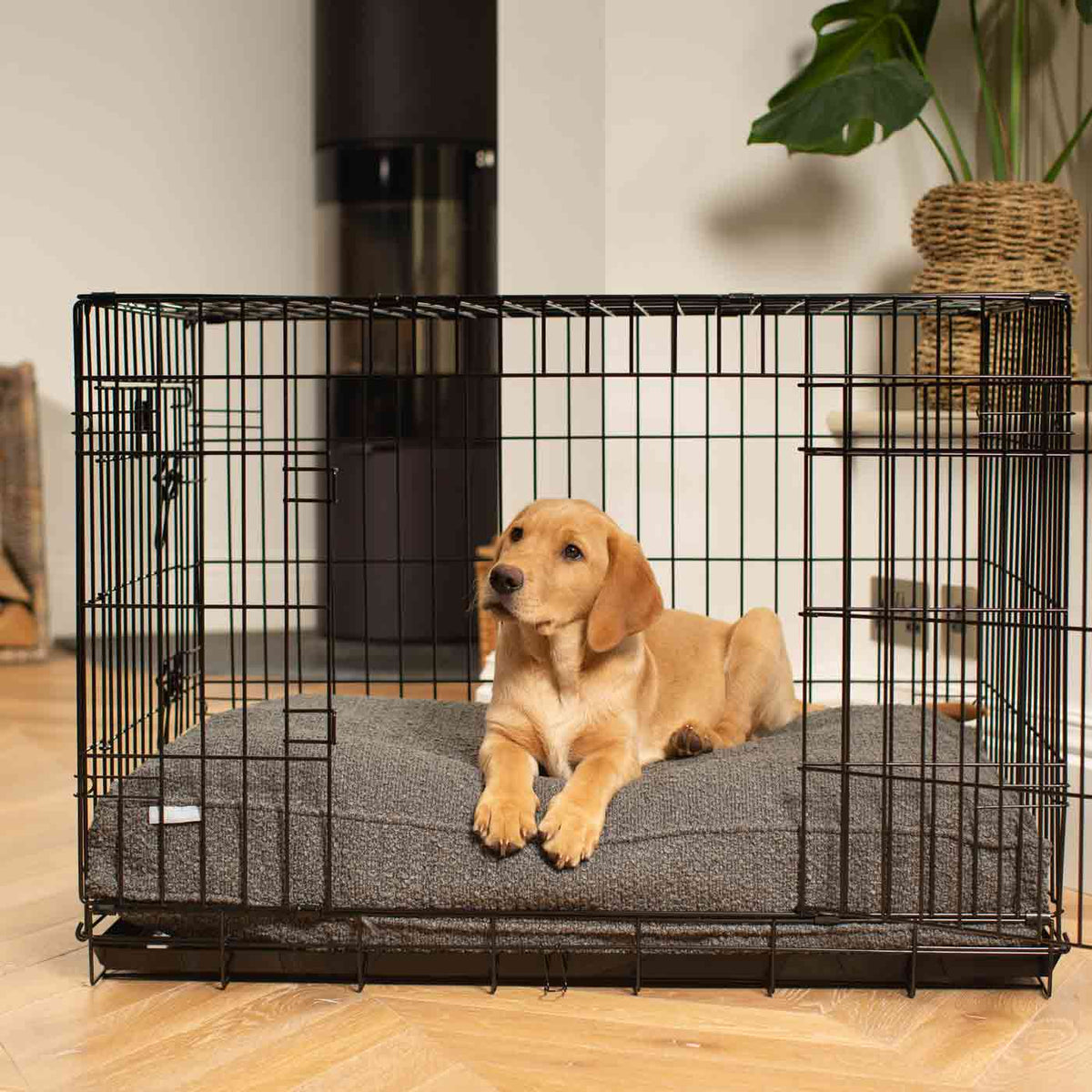 Dog Cushion in Granite Boucl