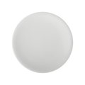 China By Denby Dinner Plate