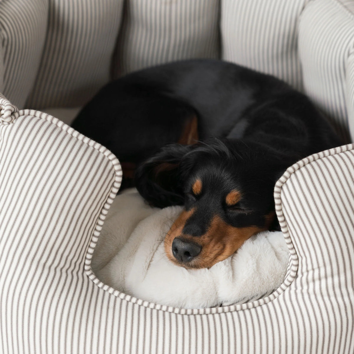High Wall Bed For Dogs in Spots & Stripes
