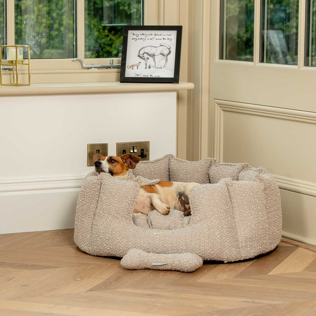 High Wall Bed For Dogs in Boucl