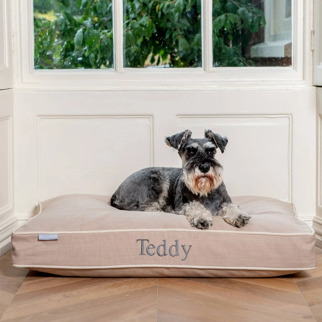Dog Cushion in Savanna Oatmeal