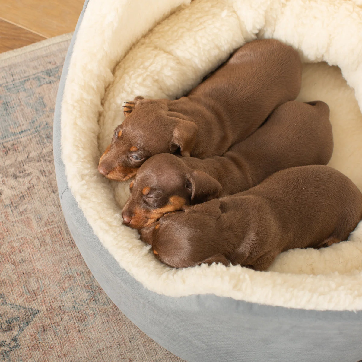 Grow With Me Puppy Bed in Grey