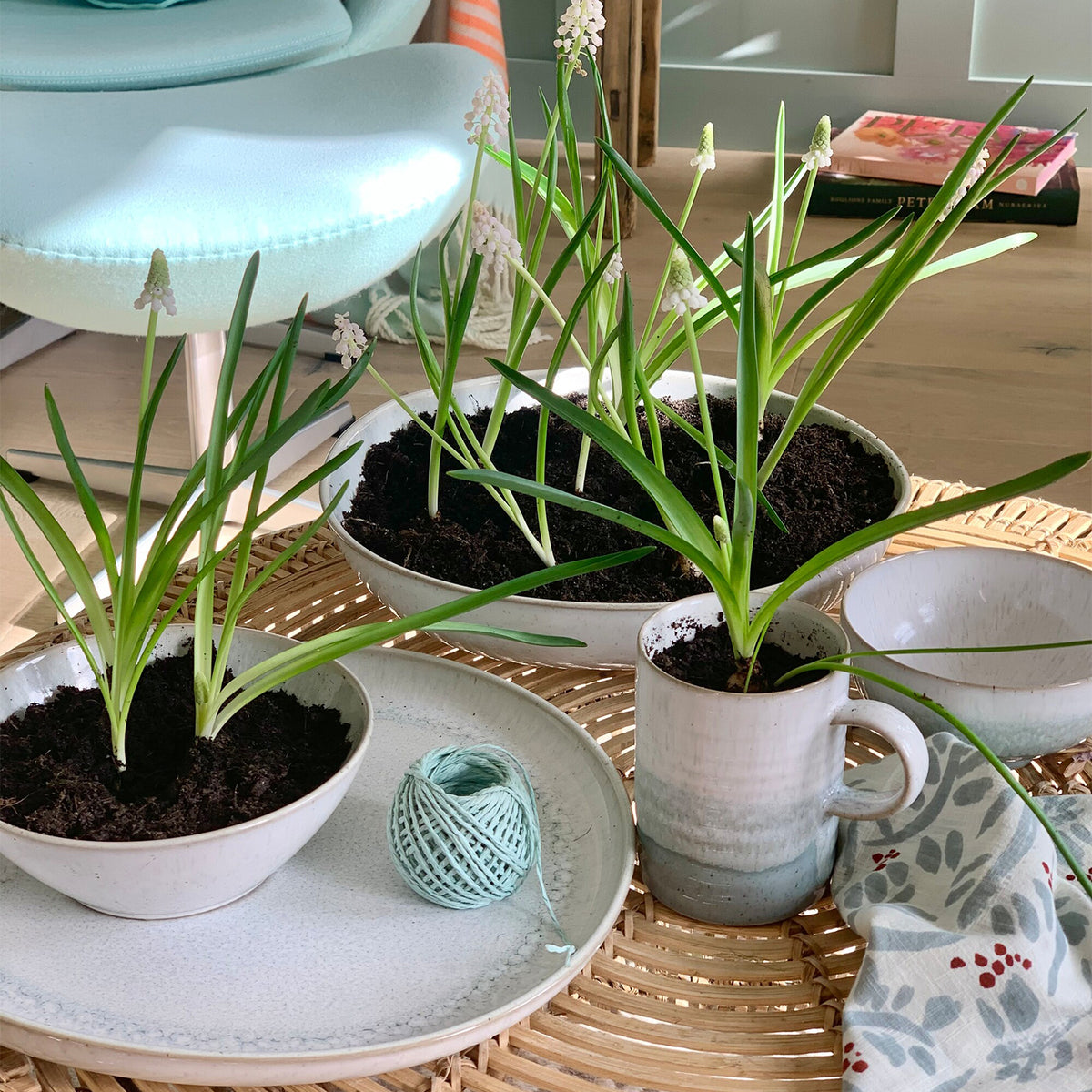 Kiln Green Mugs - Set Of 2