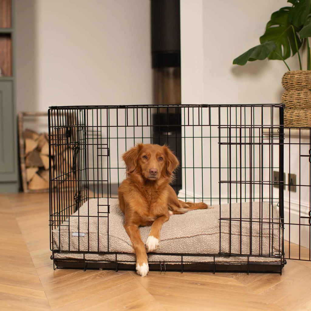 Dog Cushion in Mink Boucl