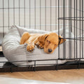 Cozy & Calming Puppy Cage Bed In Inchmurrin Ground