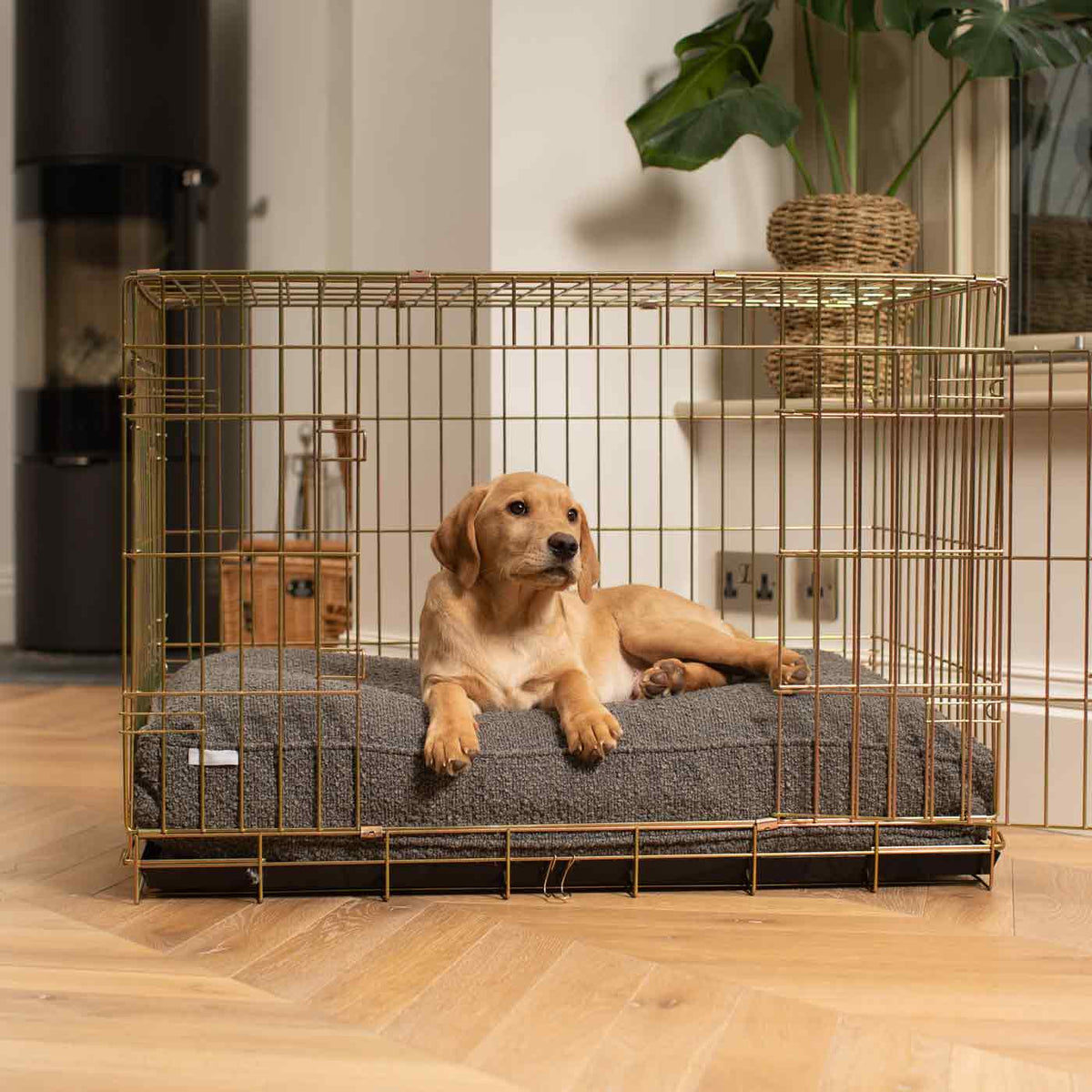 Dog Cushion in Granite Boucl