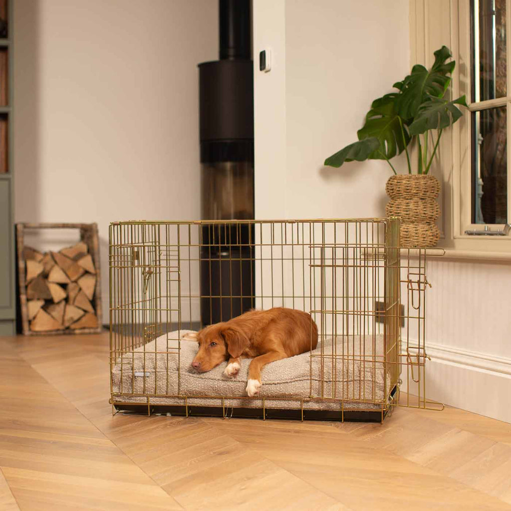 Dog Cushion in Mink Boucl