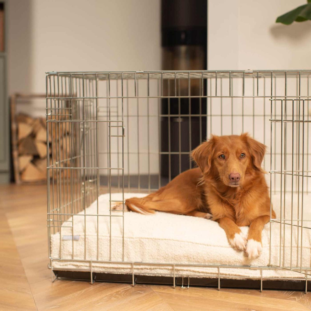 Dog Cushion in Ivory Boucl